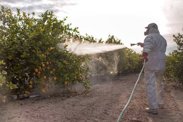 Best Wasp Removal Services  in Liberal, KS