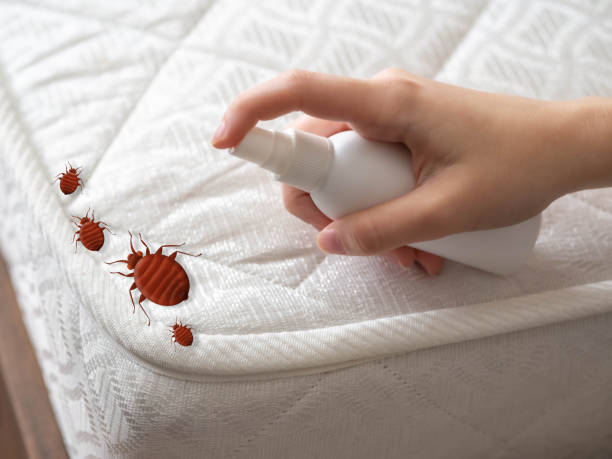Best Pest Control Near Me  in Liberal, KS
